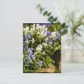 Bluebells Postkarte (Stehend Vorderseite)