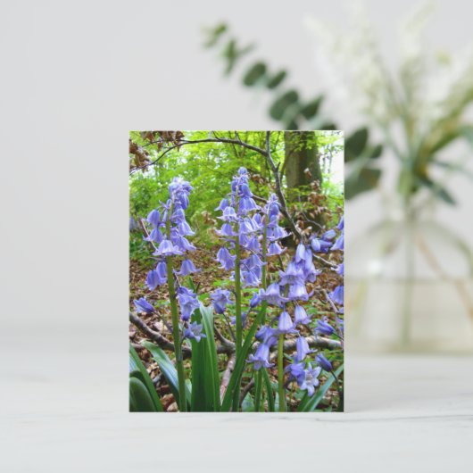 BLUEBELLS ~ Postkarte (Stehend Vorderseite)