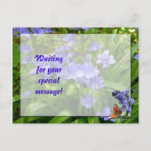 BLUEBELLS ~ Postkarte Nr. 3 (Rückseite)