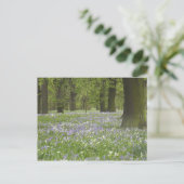Bluebells und Eichen im Frühling, Little Hagley Postkarte (Stehend Vorderseite)