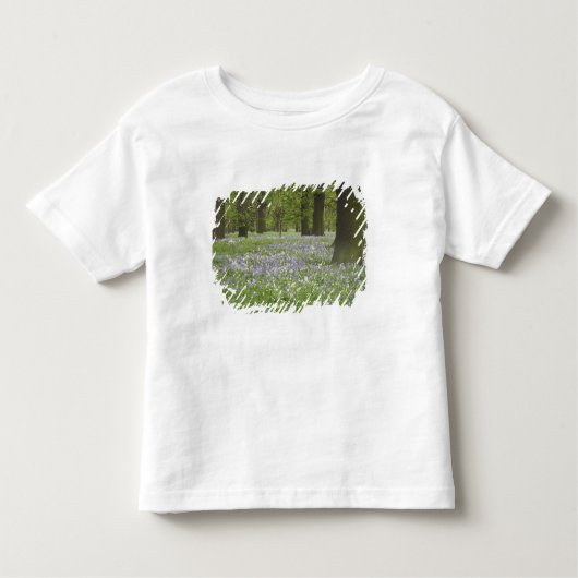 Bluebells und Eichenbäume im Frühling, Little Hagl Kleinkind T-shirt (Vorderseite)