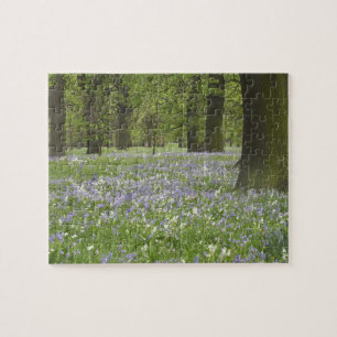 Bluebells und Eichenbäume im Frühling, Little Hagl Puzzle