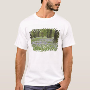 Bluebells und Eichenbäume im Frühling, Little Hagl T-Shirt