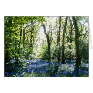 Bluebells und Frühlingssammelbänke