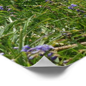 Bluebells und Hay Tor Poster (Ecke)