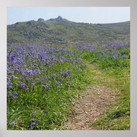 Bluebells und Hay Tor Poster (Vorne)