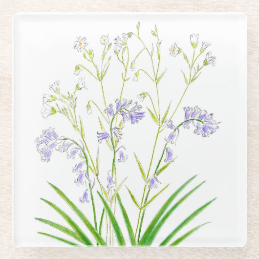 Bluebells und Heftkraut-Untersetzer Glasuntersetzer (Vorderseite)