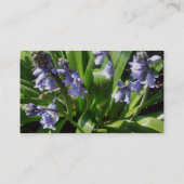 Bluebells Visitenkarte (Rückseite)