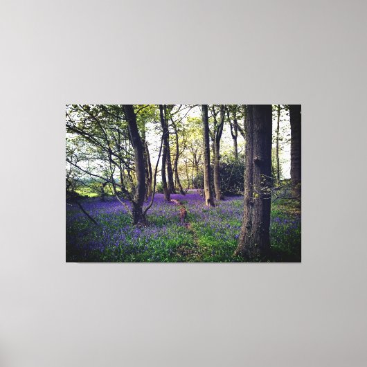 Bluebells Wald Bloral modern elegant Beautiful Leinwanddruck (Vorderseite)