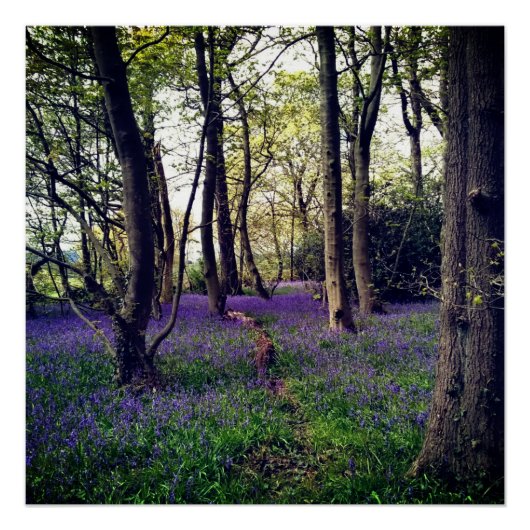 Bluebells Wald Bloral modern elegant Beautiful Poster (Vorderseite)