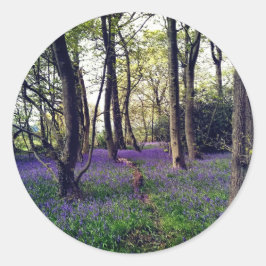 Bluebells Wald Bloral modern elegant Beautiful Runder Aufkleber