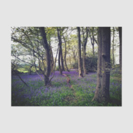Bluebells Wald Bloral modern elegant Beautiful Seidenpapier