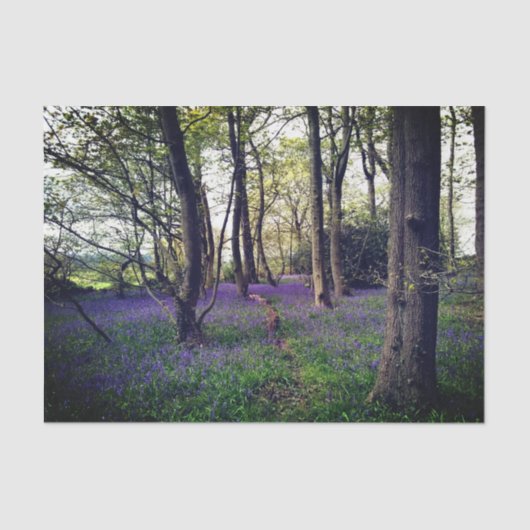 Bluebells Wald Bloral modern elegant Beautiful Seidenpapier (Vorderseite)