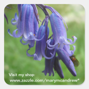 Bluebells-Wildblume-Aufkleber Quadratischer Aufkleber