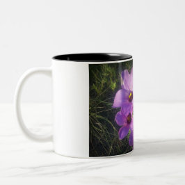 Bluebells Zweifarbige Tasse