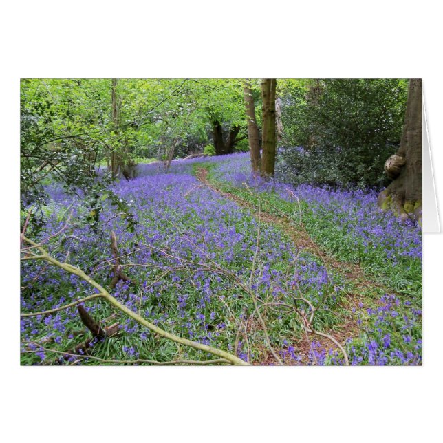 Bluebellwald (Vorderseite (Horizontal))