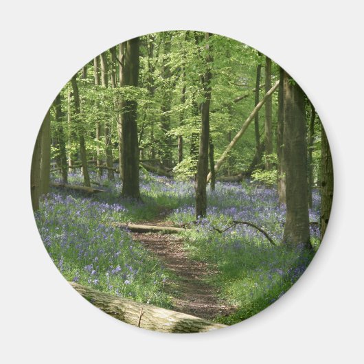 Bluebellwald Magnet (Vorne)