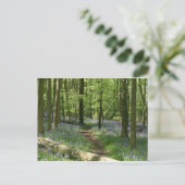 Bluebellwald Postkarte (Stehend Vorderseite)