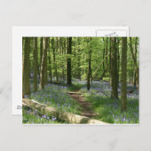 Bluebellwald Postkarte (Vorne/Hinten)