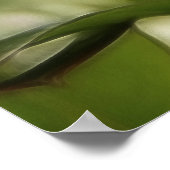 Blueberblüten Poster (Ecke)