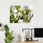Blueberblüten Poster (Heimbüro)