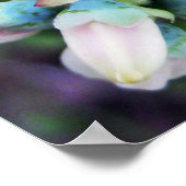 Blueberries blühen poster (Ecke)