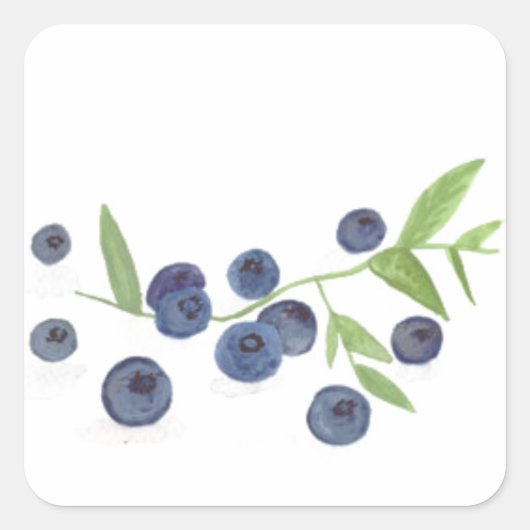 Blueberries Fruchtküche Aquarellbeeren schick Quadratischer Aufkleber (Vorderseite)