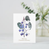 Blueberries - Handgezeichnete Wasserfarben Postkarte (Stehend Vorderseite)