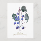 Blueberries - Handgezeichnete Wasserfarben Postkarte (Vorderseite)