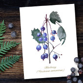 Blueberries - Handgezeichnete Wasserfarben Postkarte