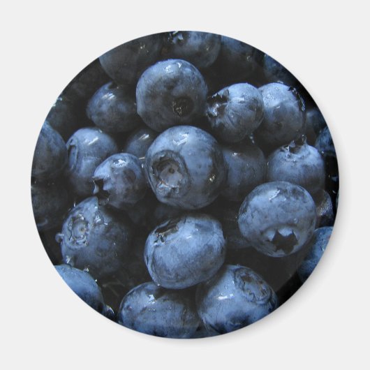Blueberries Magnet (Vorne)
