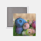 Blueberries Magnet (Vorderseite/Rückseite)