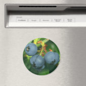 BLUEBERRIES MAGNET (In Situ (Geschirrspüler))
