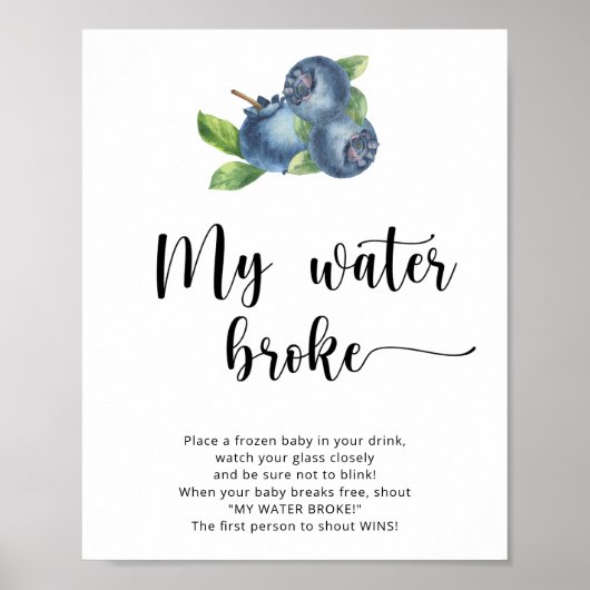 Blueberries - mein Wasserspiel Poster (Vorne)