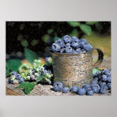 Blueberries Poster Print (Vorne)