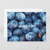 BLUEBERRIES POSTKARTE (Vorne/Hinten)