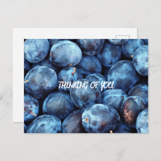 BLUEBERRIES POSTKARTE (Vorne/Hinten)