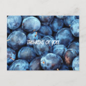 BLUEBERRIES POSTKARTE (Vorderseite)