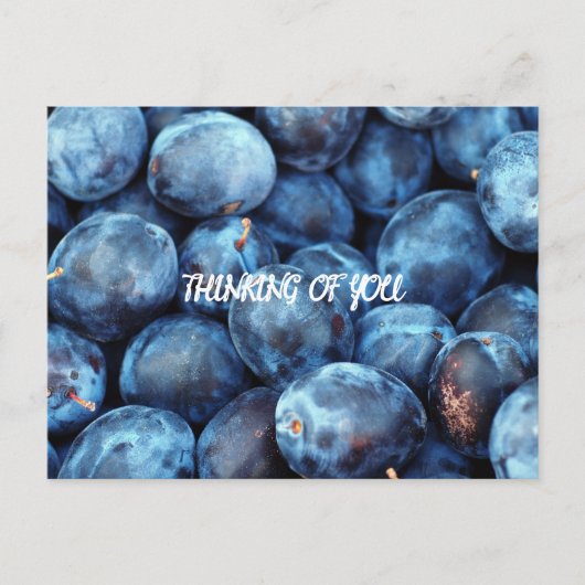 BLUEBERRIES POSTKARTE (Vorderseite)