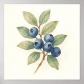 Blueberries - Zweigstelle Poster (Vorne)