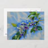 Blueberry Aquarellmalerei Postkarte (Vorne/Hinten)