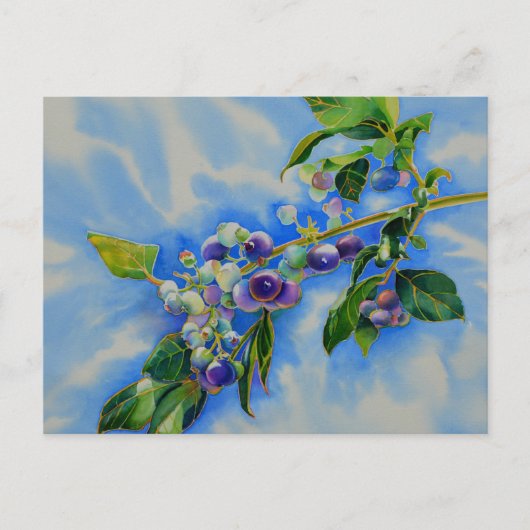 Blueberry Aquarellmalerei Postkarte (Vorderseite)