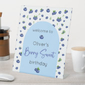 Blueberry Birthday Berry Sweet Willkommen Sockelschild (In Situ)