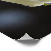 Blueberry Blossom Cluster Poster (Ecke)