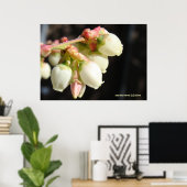 Blueberry Blossom Cluster Poster (Heimbüro)