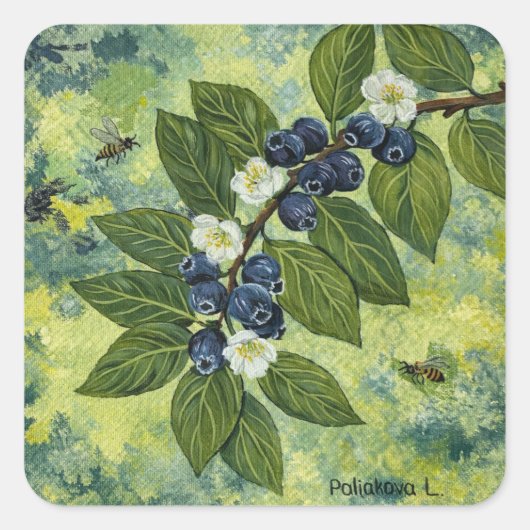 Blueberry Branch Botanical Illustration Quadratischer Aufkleber (Vorderseite)