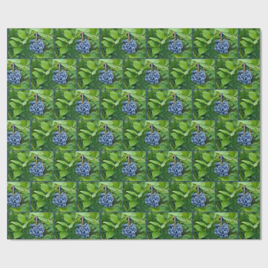 Blueberry Bunch in Zweig Geschenkpapier (Flach)