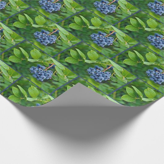 Blueberry Bunch in Zweig Geschenkpapier (Ecke)