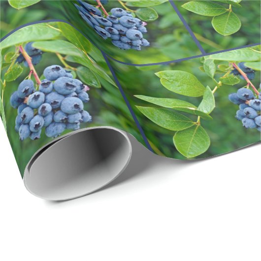 Blueberry Bunch in Zweig Geschenkpapier (Rolleneckpunkt)