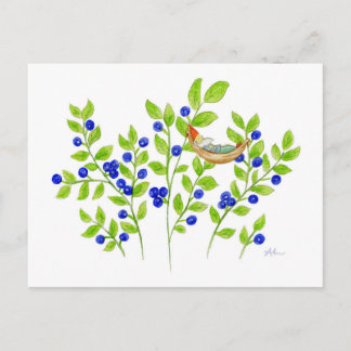 Blueberry Bush Gnome Postkarte